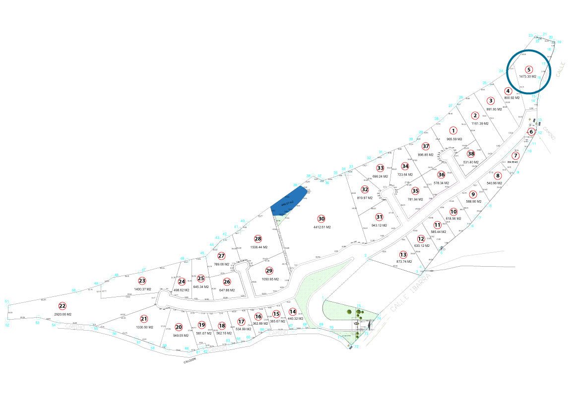 TERRENO EN VENTA EN JAPONDA EXEKUA, PÁTZCUARO, MICHOACÁN