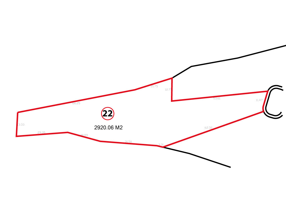 TERRENO EN VENTA EN JAPONDA EXEKUA, PÁTZCUARO, MICHOACÁN