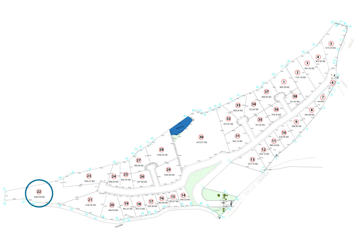 TERRENO EN VENTA EN JAPONDA EXEKUA, PÁTZCUARO, MICHOACÁN