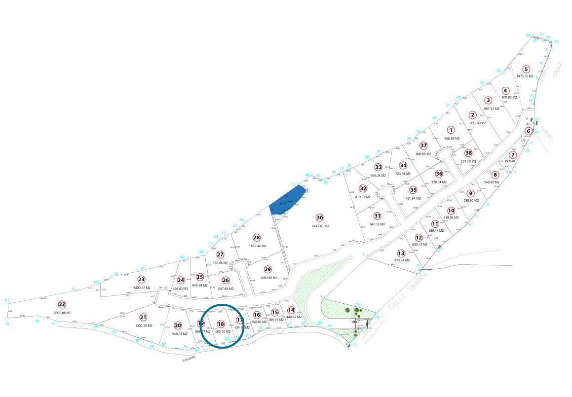 TERRENO EN VENTA EN JAPONDA EXEKUA, PÁTZCUARO, MICHOACÁN