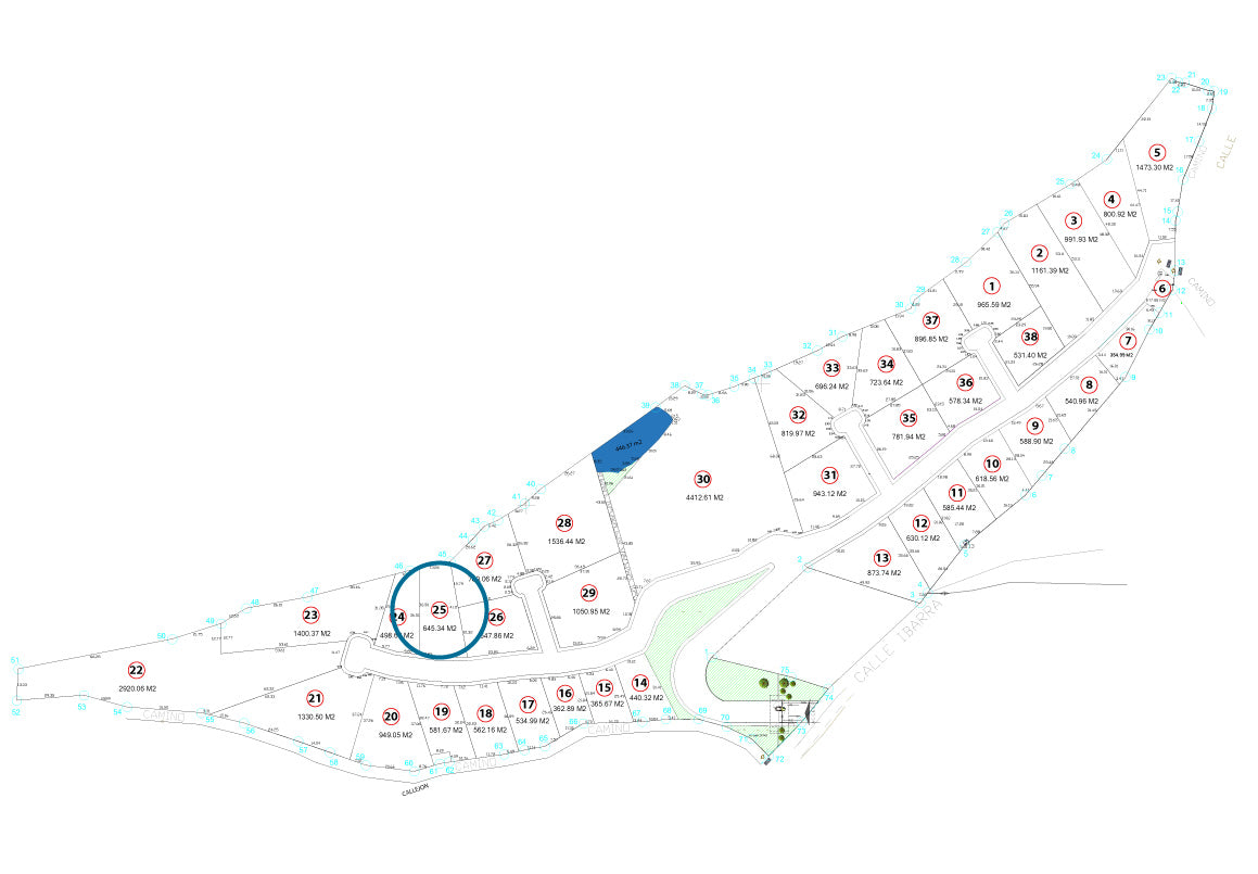 TERRENO EN VENTA EN JAPONDA EXEKUA, PÁTZCUARO, MICHOACÁN