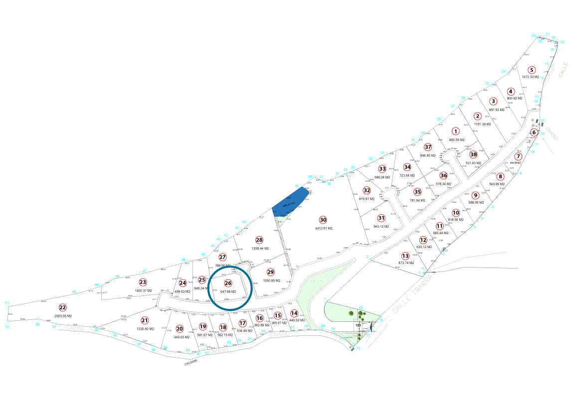 TERRENO EN VENTA EN JAPONDA EXEKUA, PÁTZCUARO, MICHOACÁN