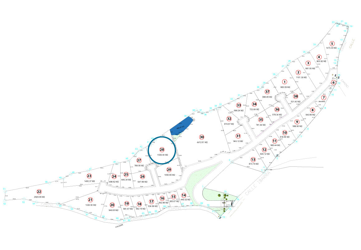 TERRENO EN VENTA EN JAPONDA EXEKUA, PÁTZCUARO, MICHOACÁN