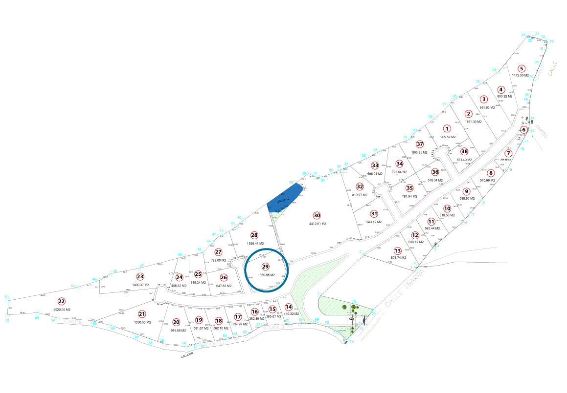 TERRENO EN VENTA EN JAPONDA EXEKUA, PÁTZCUARO, MICHOACÁN